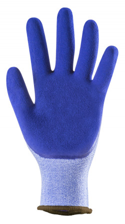Gants EUROLITE 13L700 J13 PE bleu dble end.latex bleu T11