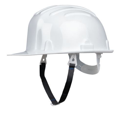 KIT GOELAND ET JUGULAIRE  - BLANC