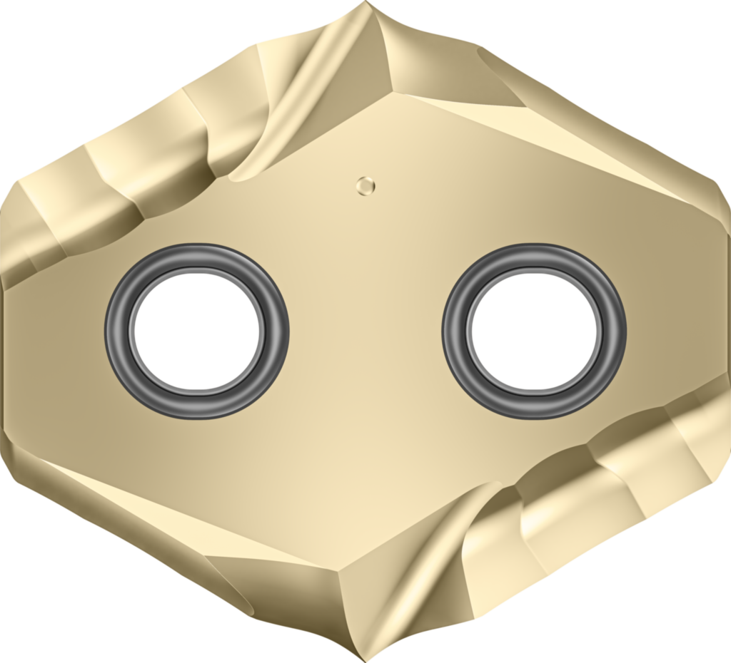 Embout interchangeable double face