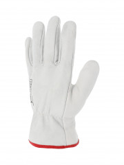 GANT FLEUR BOVIN CAVALIER T 10