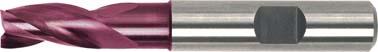 Fraise longue DIN 6527 carbure monobloc TiALN D3 queue HB 5mm  