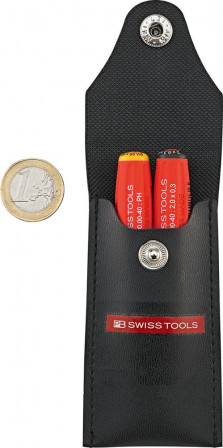 Jeu de mini-tournevis PH00 + plat 0,3x2mm 2 pièces dans un étui 