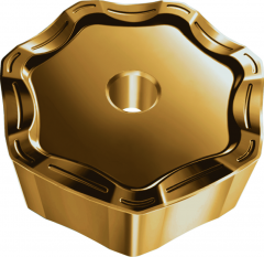 Heptagonales négatives  7347424