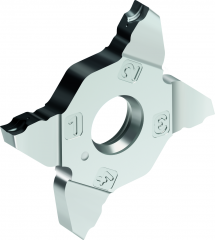 Tronçonnage et gorges – plaquettes de coupe 7320488